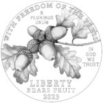 2023 American Eagle Platinum Proof Coin Line Art Obverse
